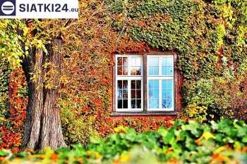 Siatki Czersk - Siatka wspomagająca wzrost roślin pnących na ścianie dla terenów Czerska