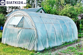 Siatki Czersk - Odporna na wiatr folia ochronna dla upraw warzywnych w tunelach dla terenów Czerska
